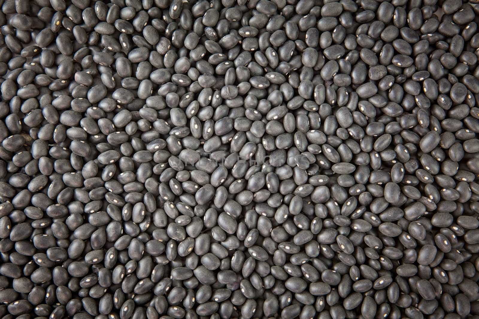 Black beans isolated on white background