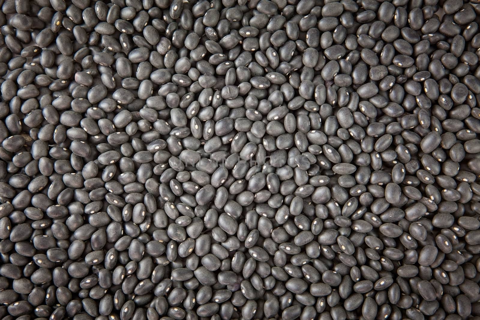 Black beans isolated on white background