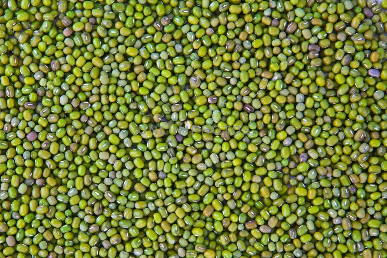 mung beans pattern as background