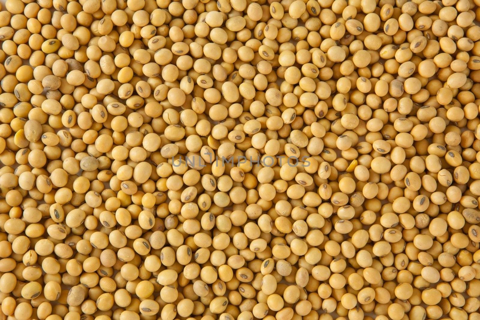 soy bean pattern as background