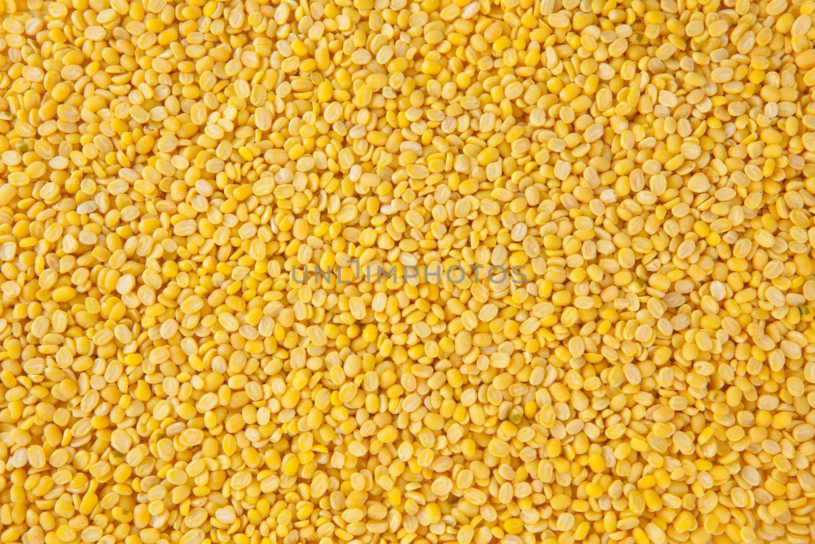 yellow bean pattern as background