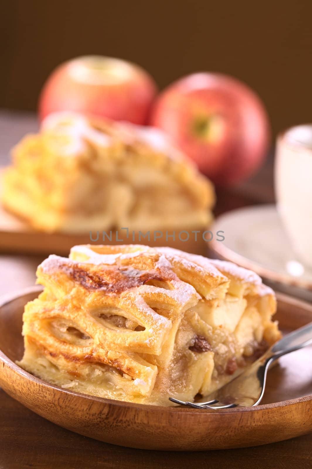 Apple strudel with raisins (Selective Focus, Focus on the right front ede of the strudel)
