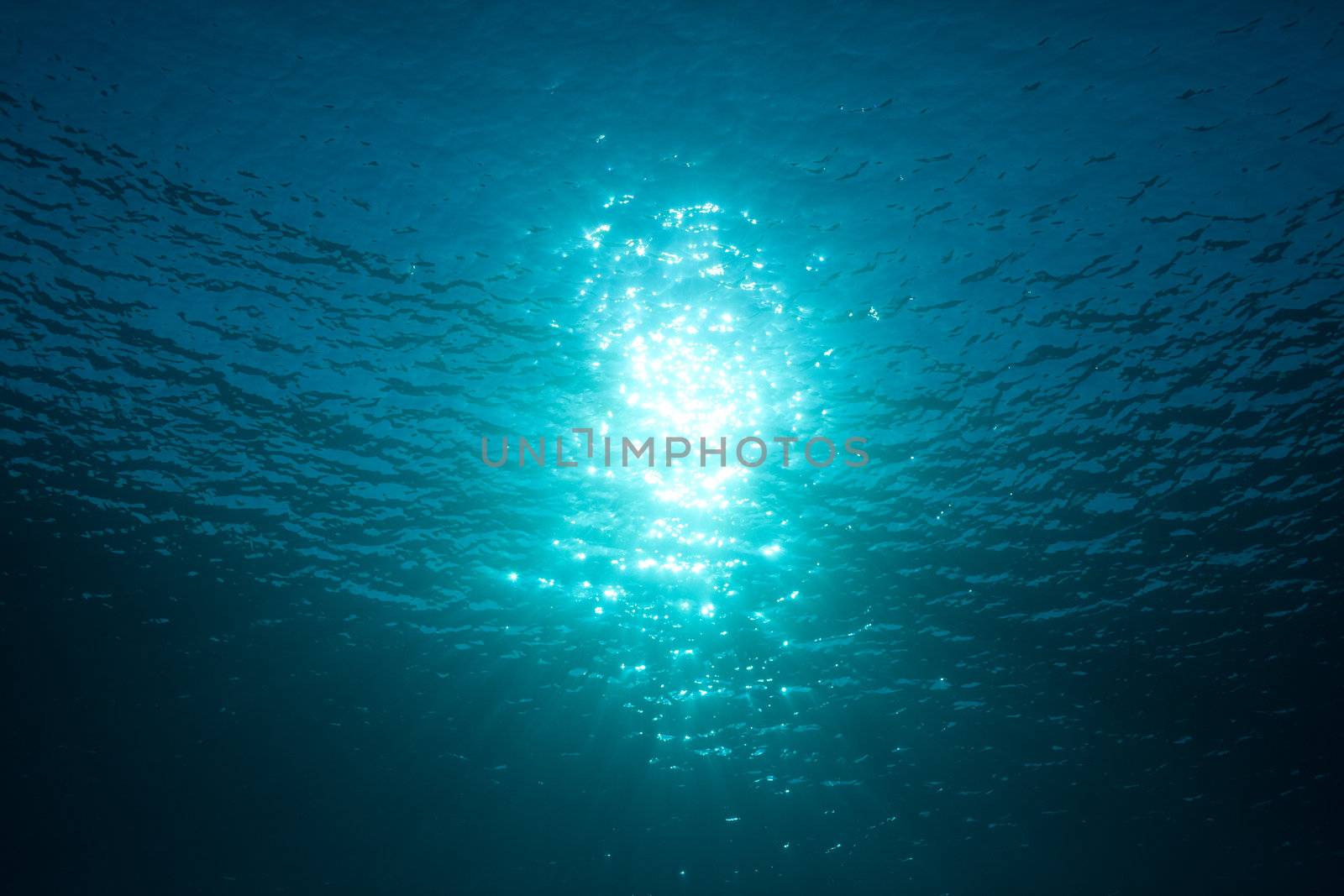 sunlight in the deep water