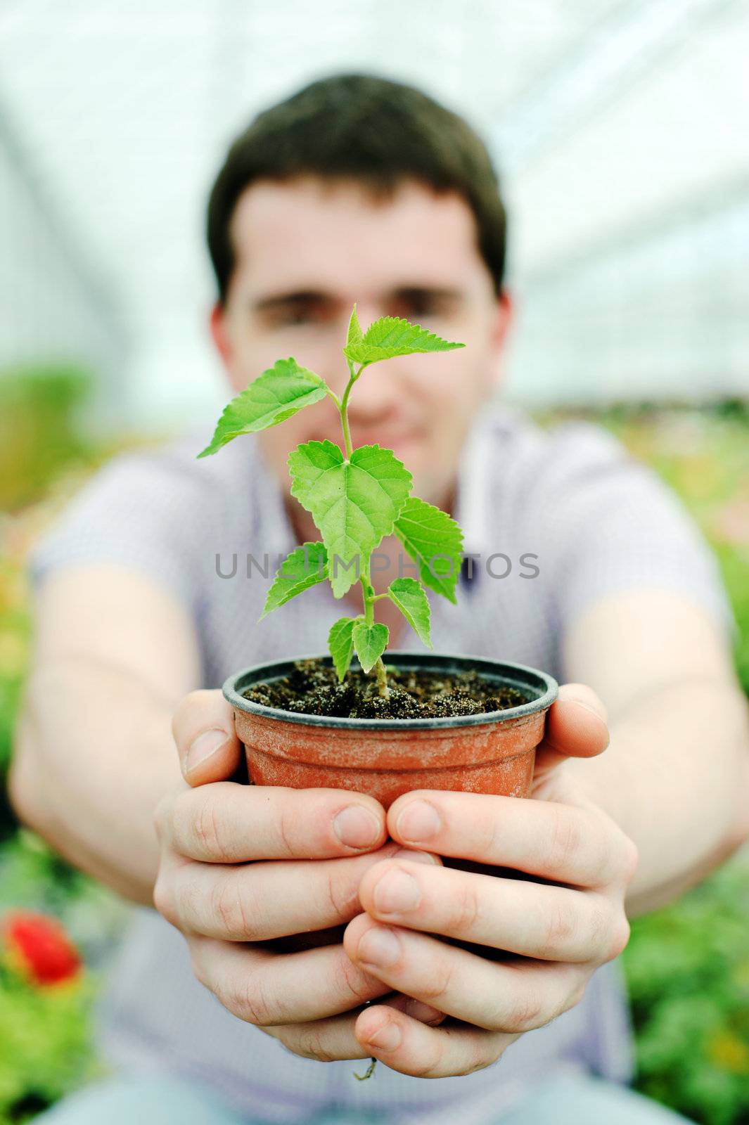 Man with a plant by velkol