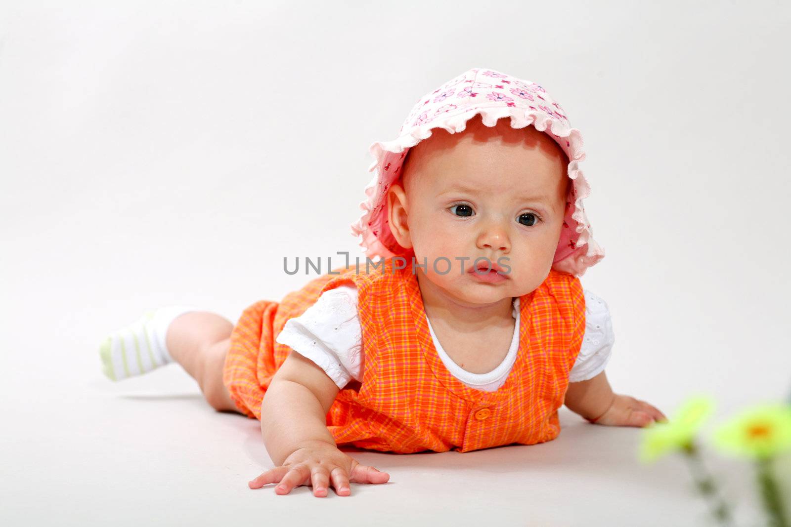 An image of cute baby in a studio