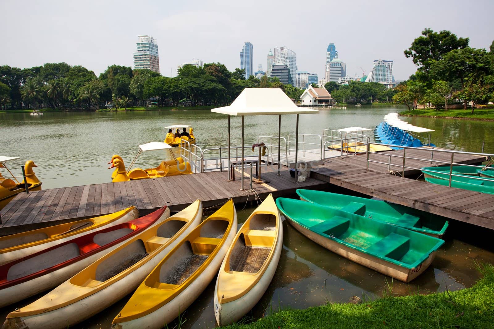 paddle boat on lake in city