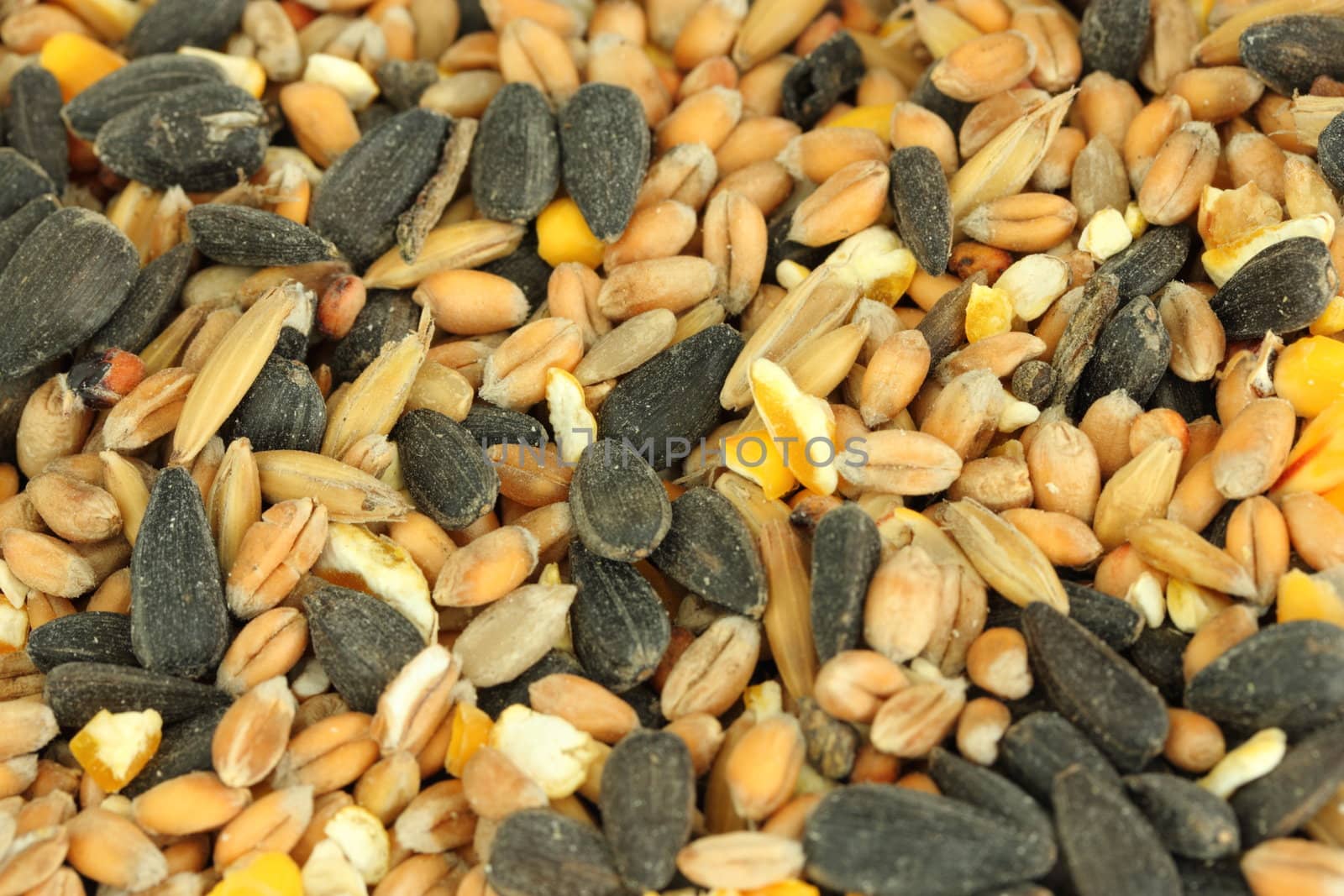 Bird food background