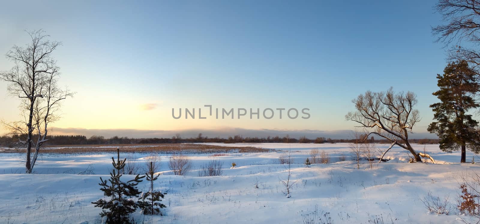 Panorama view of snow winter field on sunset with blue sky
