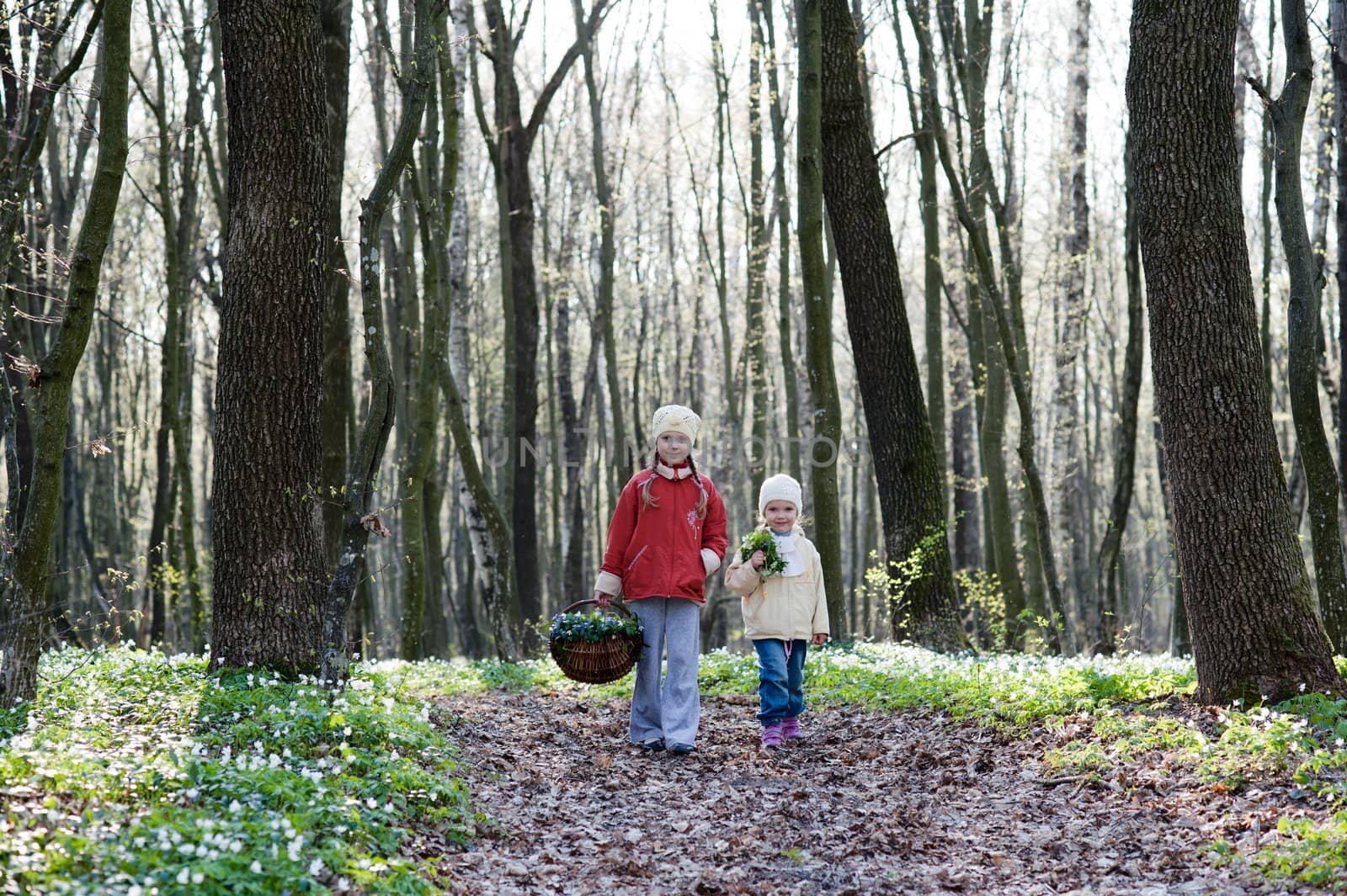 An image of two sisters walking n the wood
