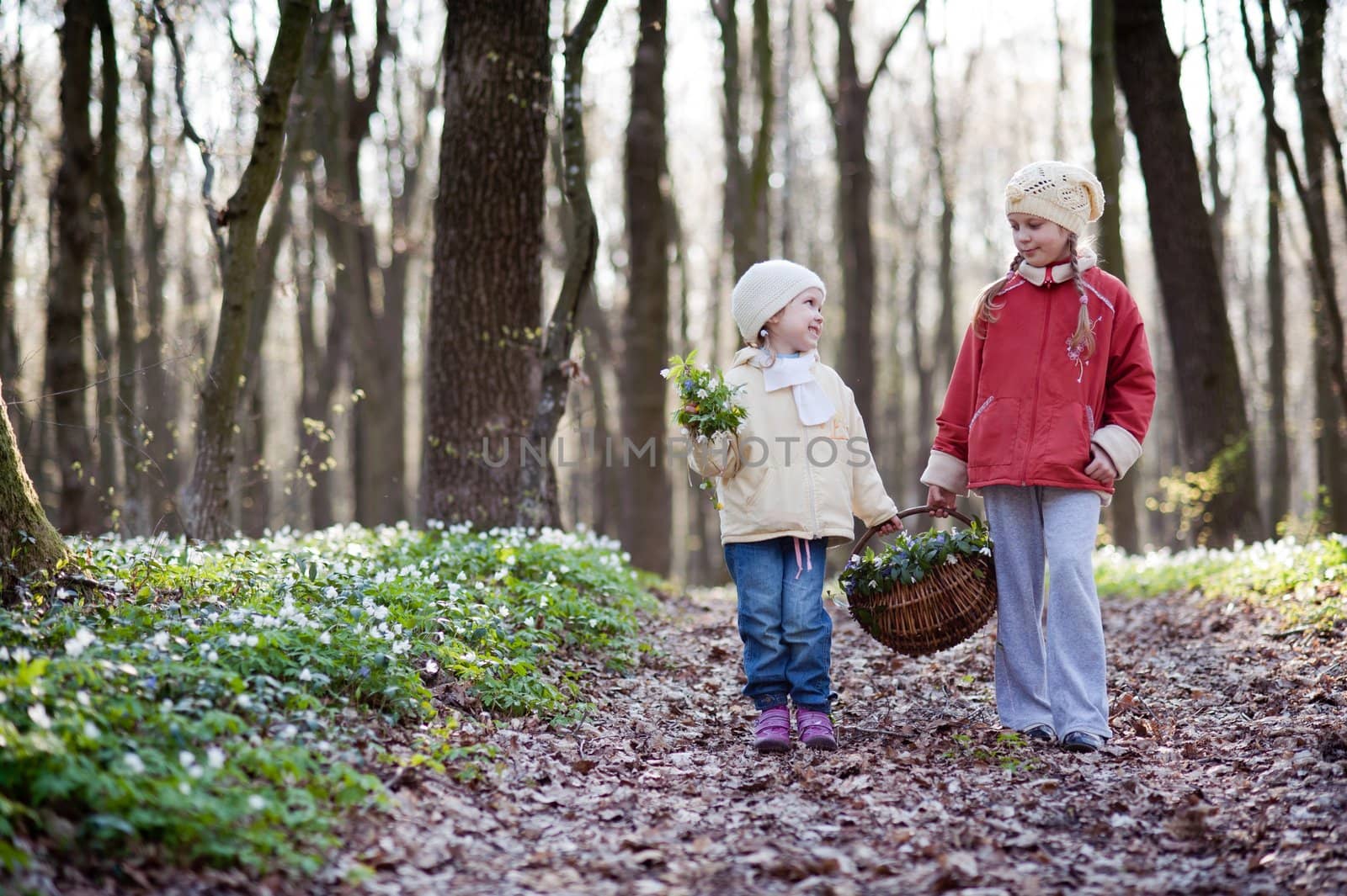 An image of two sisters walking n the wood