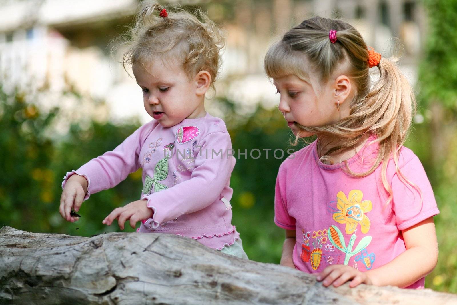 Two children outdoors by velkol