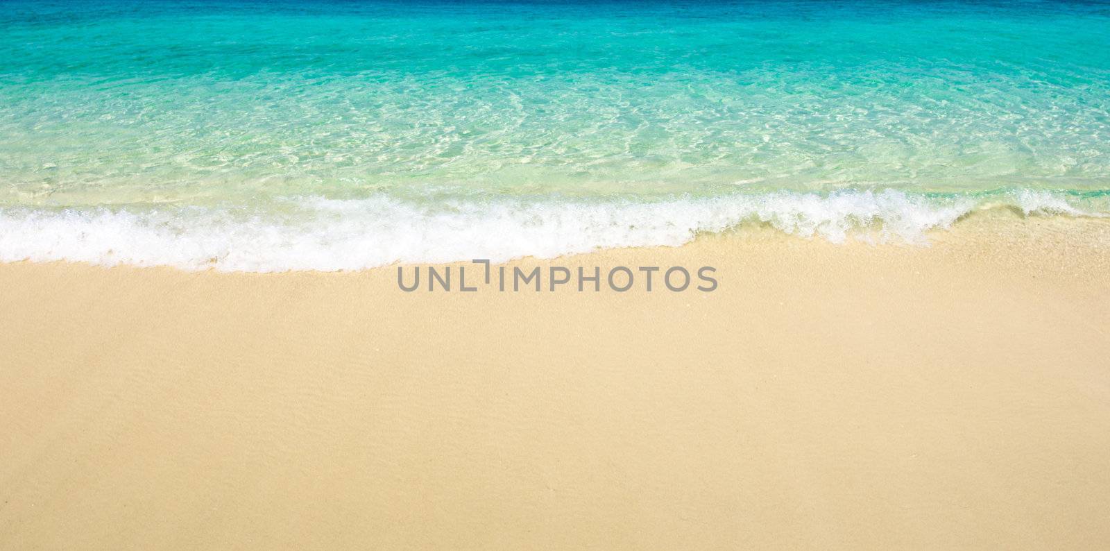 sand of beach  by Pakhnyushchyy