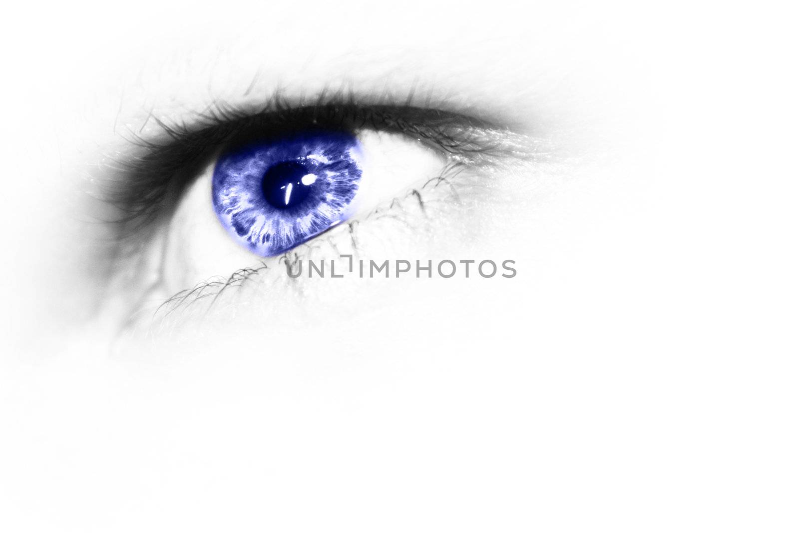 Blue eye on white background by photochecker