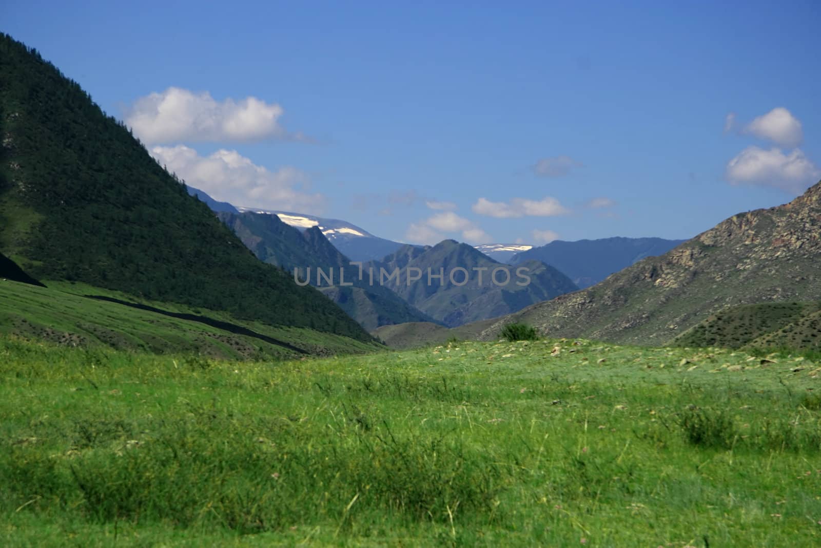 Nature landscape, meadow and mountains, wildlife of Altay by Kudryashka