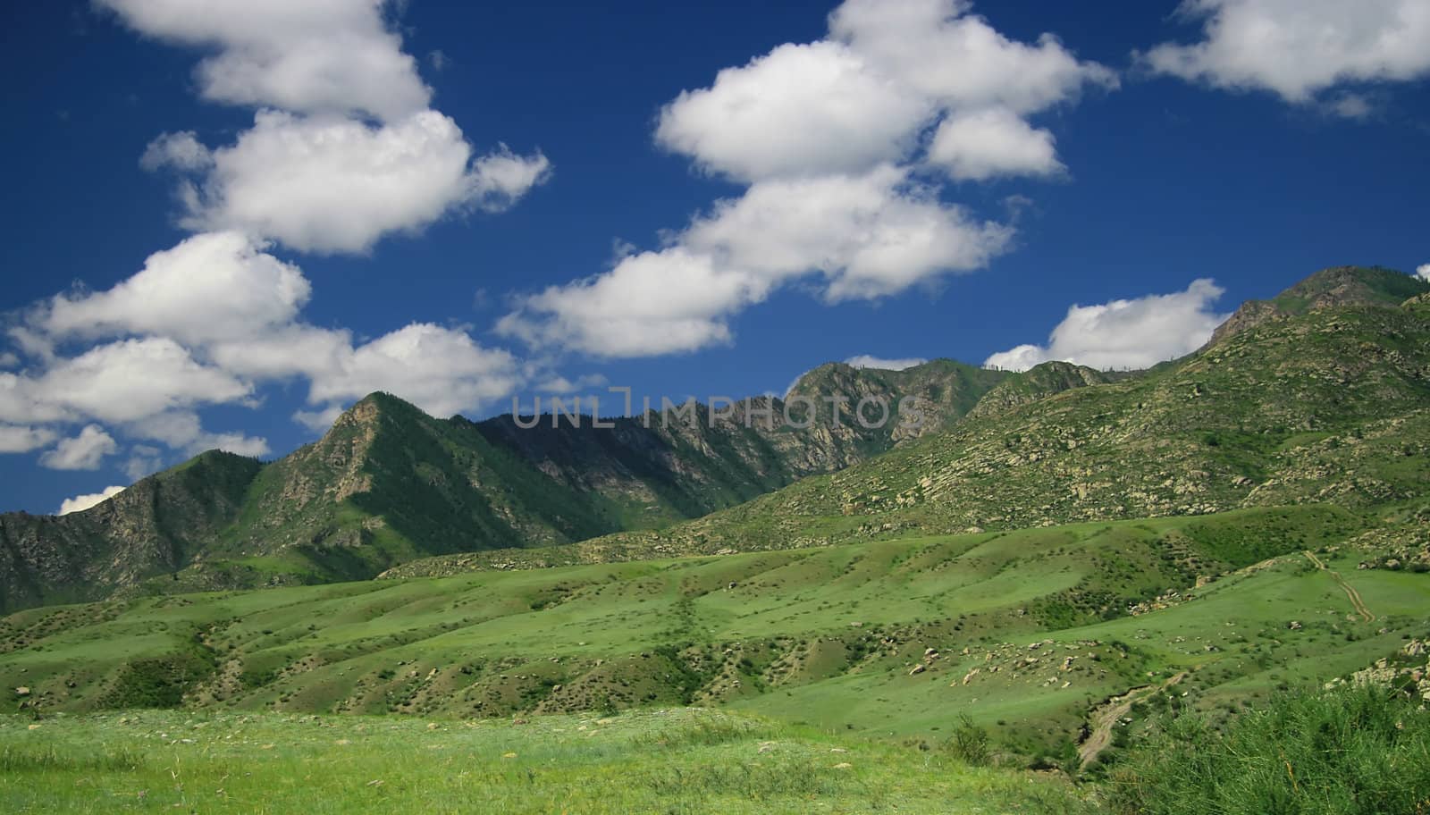 Nature landscape, meadow and mountains, wildlife of Altay by Kudryashka