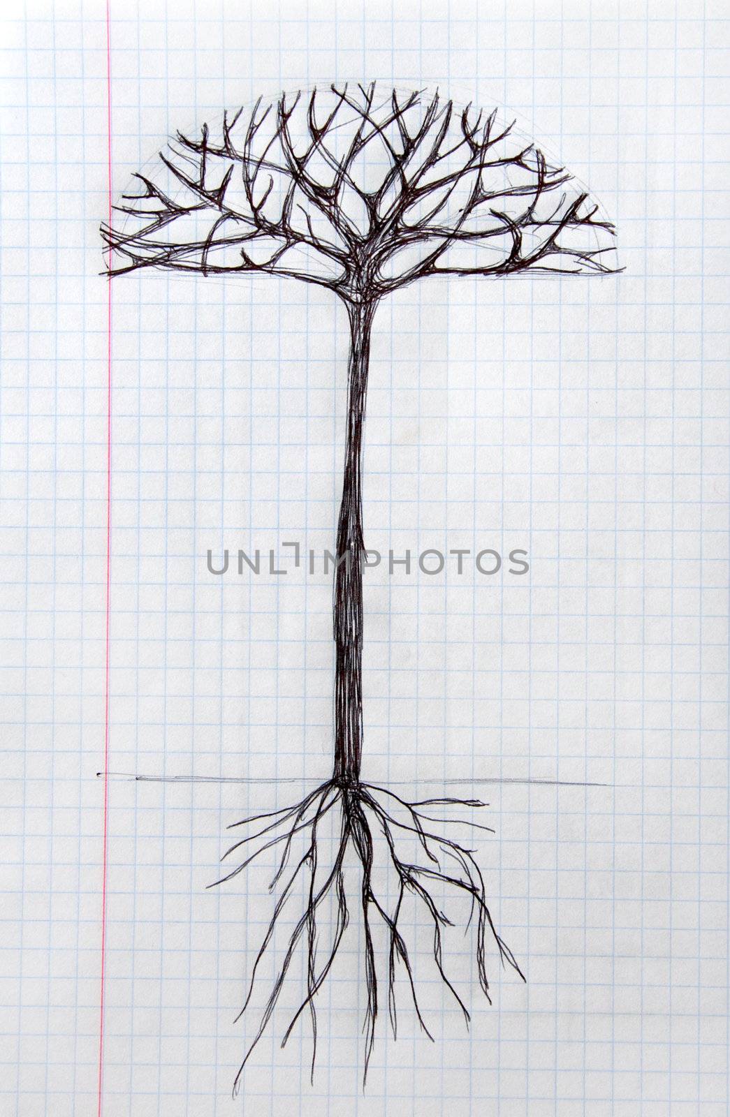 Art tree with roots on notebook sheet