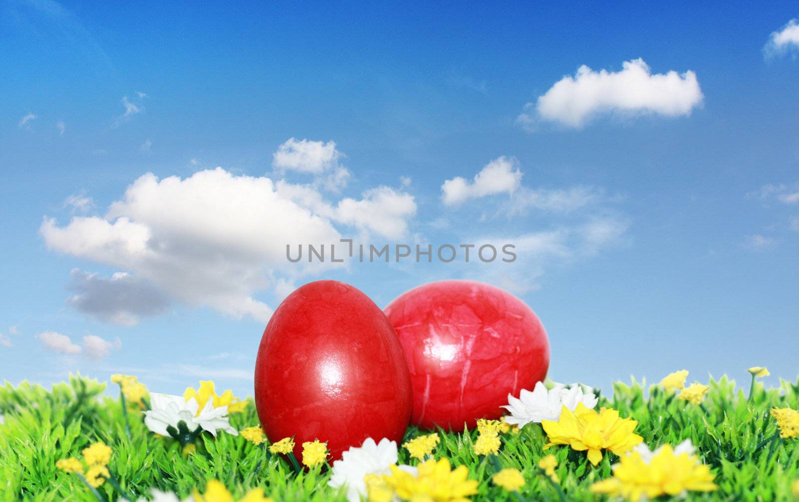 Red Easter eggs in the focus by photochecker