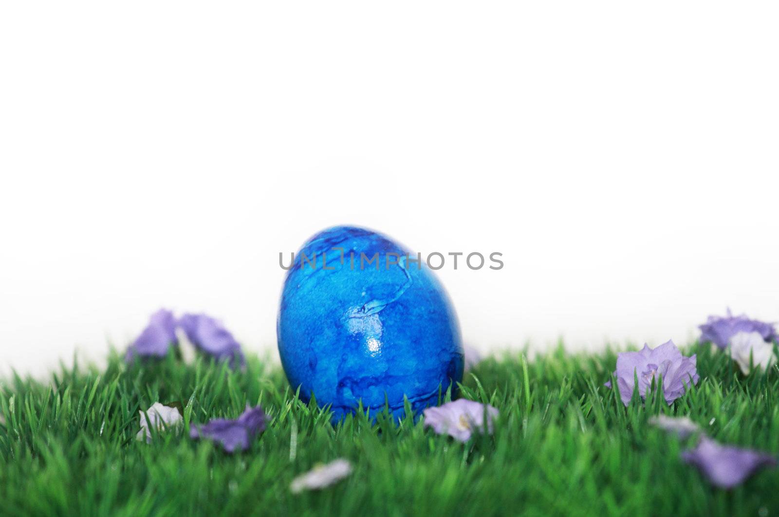 blue Easter Egg by photochecker