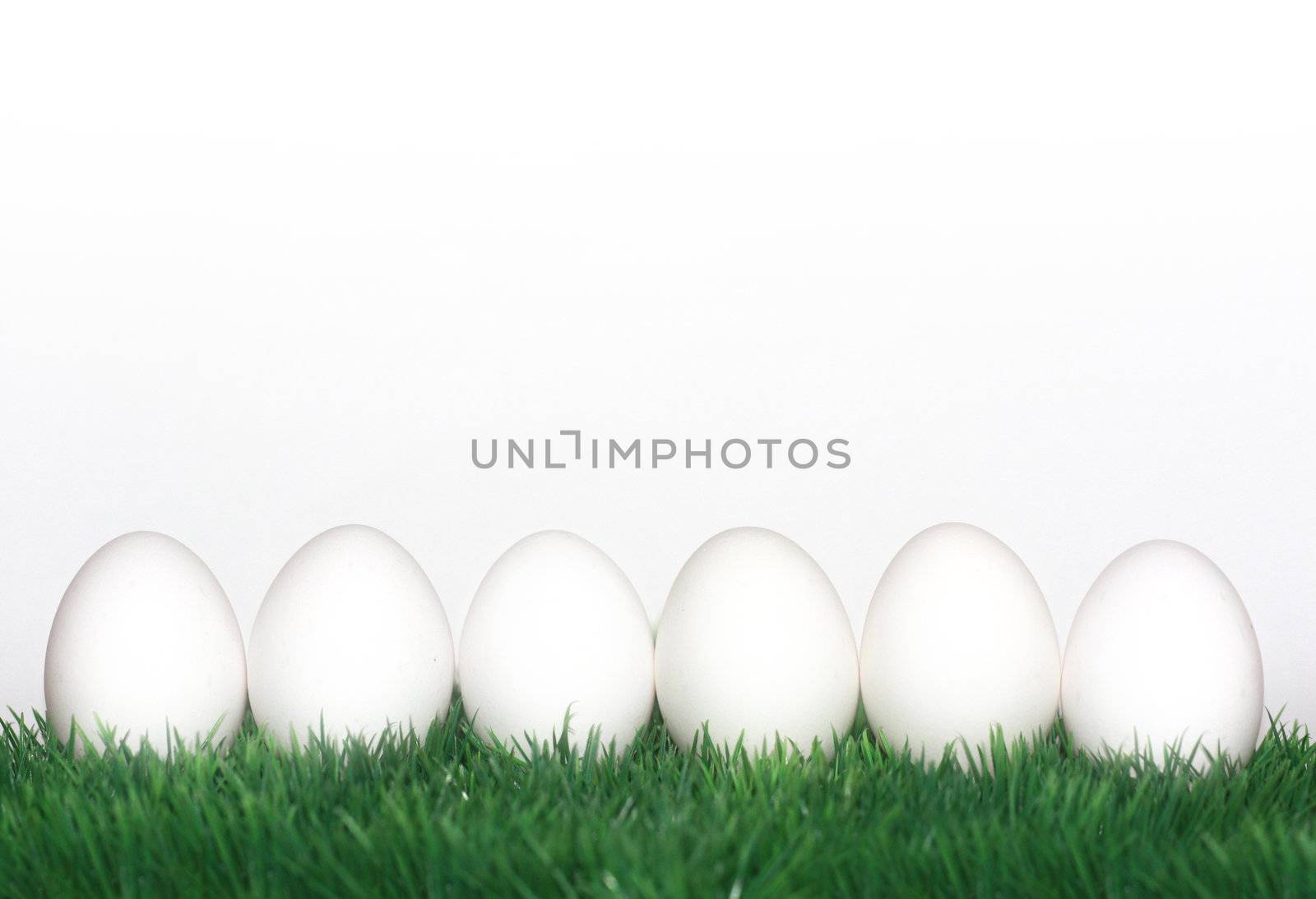 White eggs by photochecker