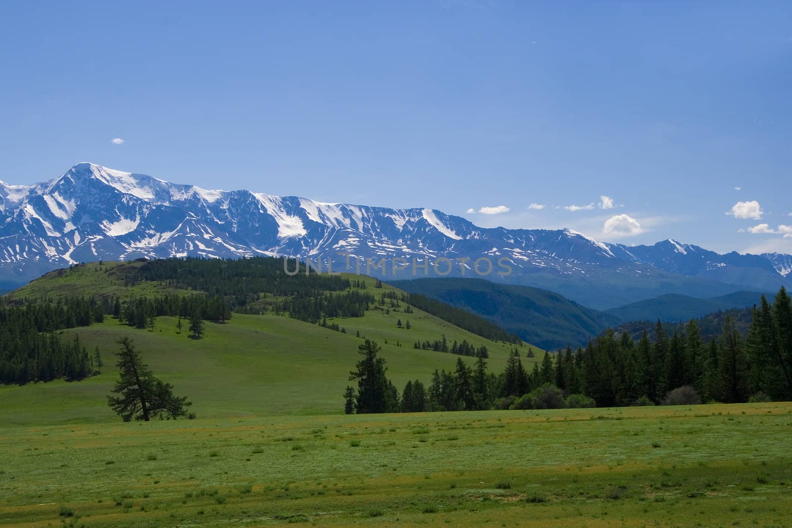 Nature landscape, meadow and mountains, wildlife of Altay