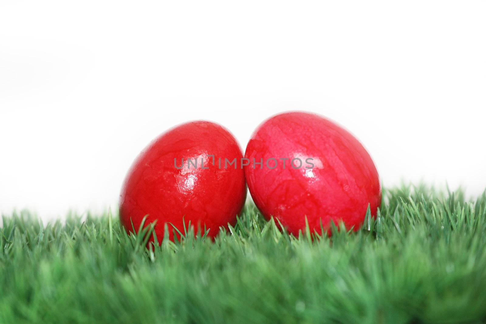 Two red eggs by photochecker