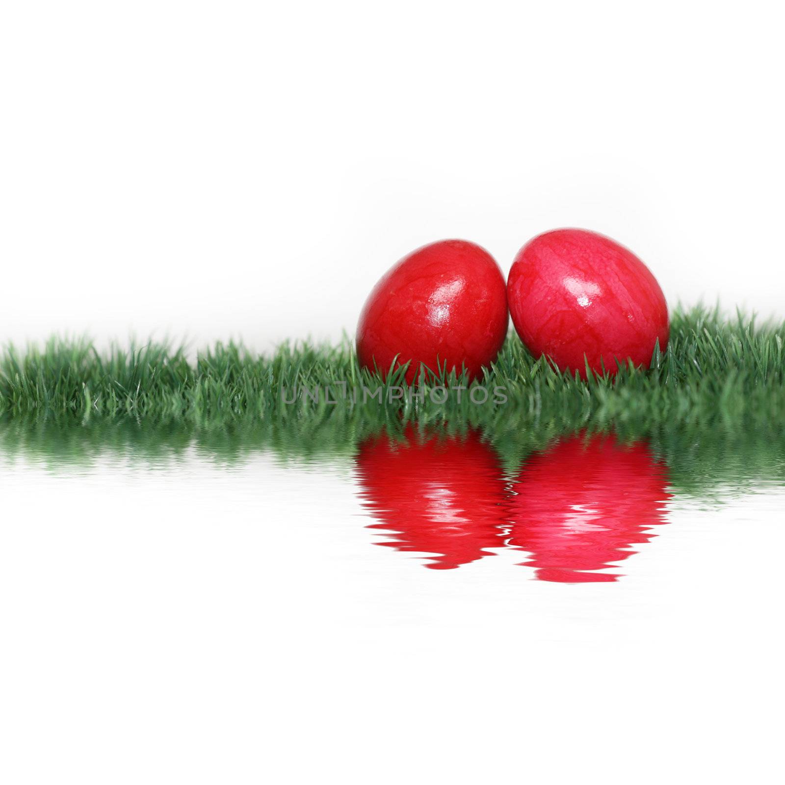 Red eggs in the grass mirrored by photochecker