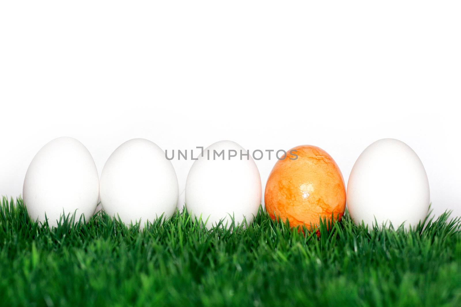 A yellow egg between the whites by photochecker