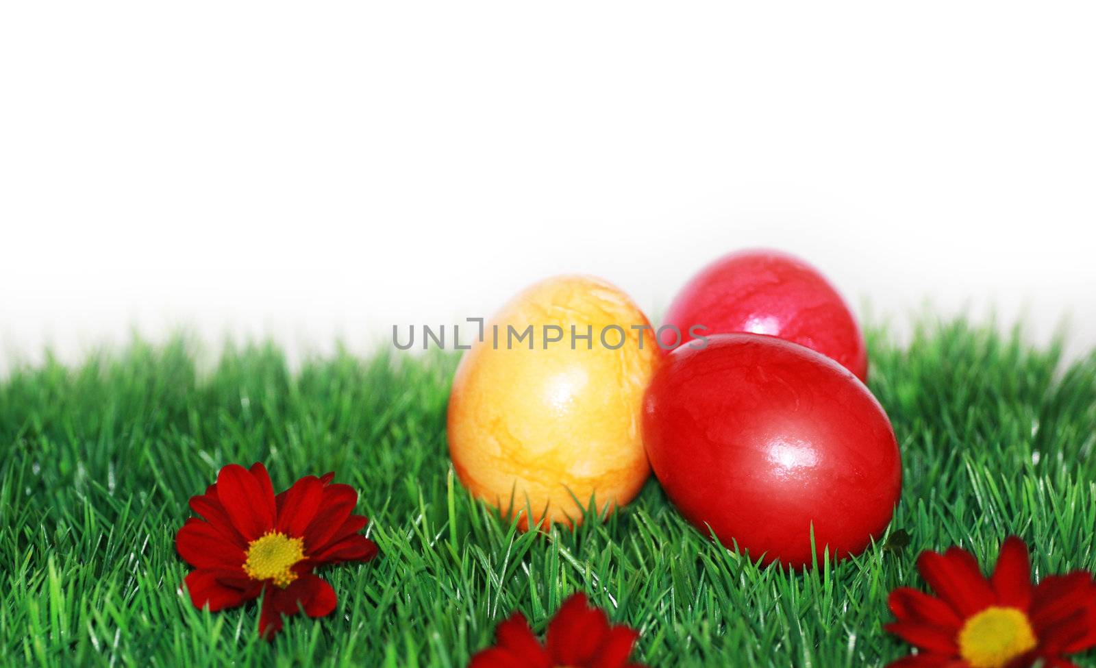 Beautiful Easter Eggs in focus by photochecker