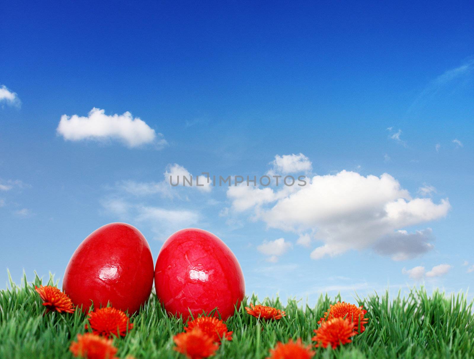 Two beautiful red eggs by photochecker