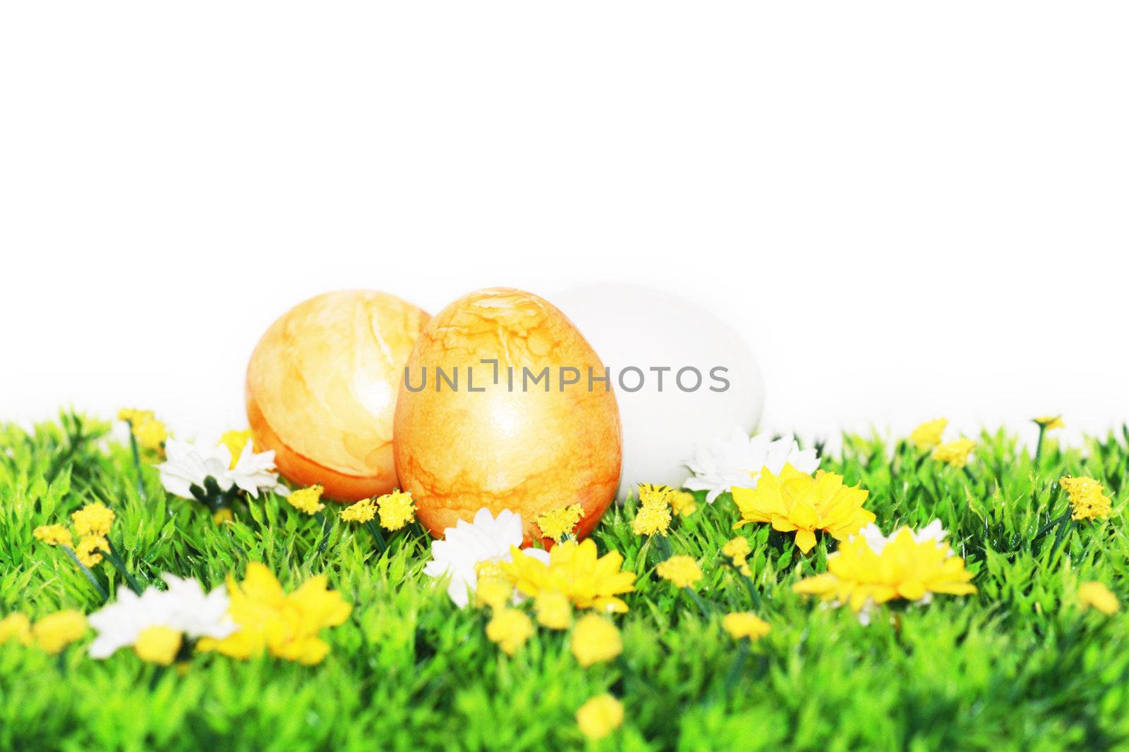 Yellow-painted Easter eggs by photochecker