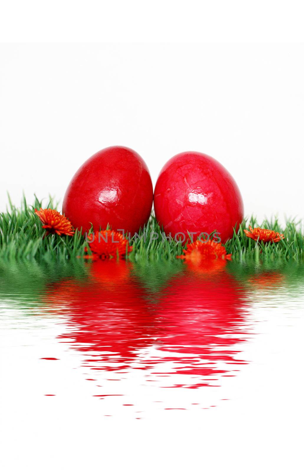 Beautiful decoration with red Easter eggs by photochecker