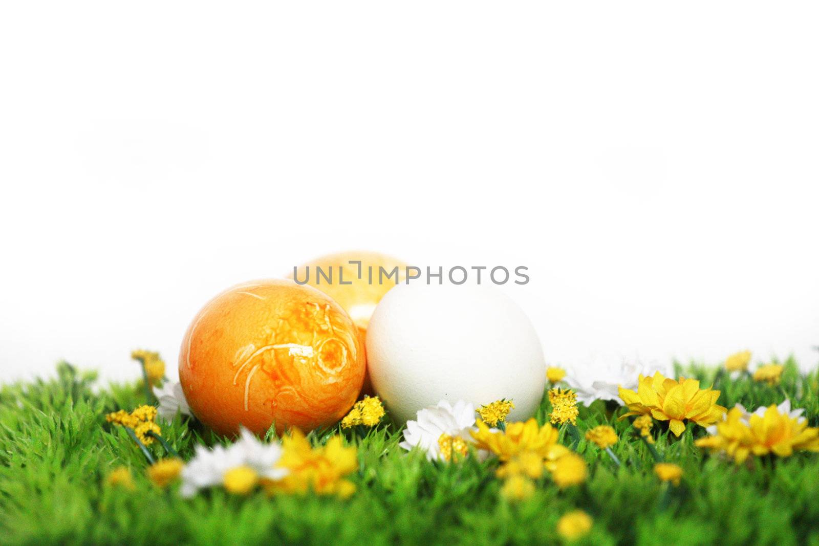 Easter decoration by photochecker