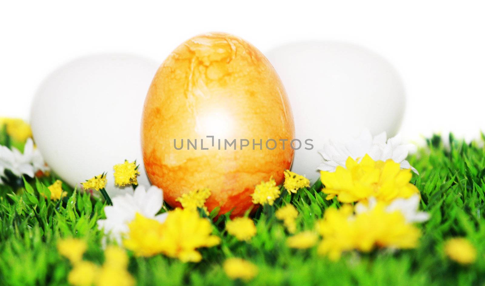 decoration for Easter by photochecker