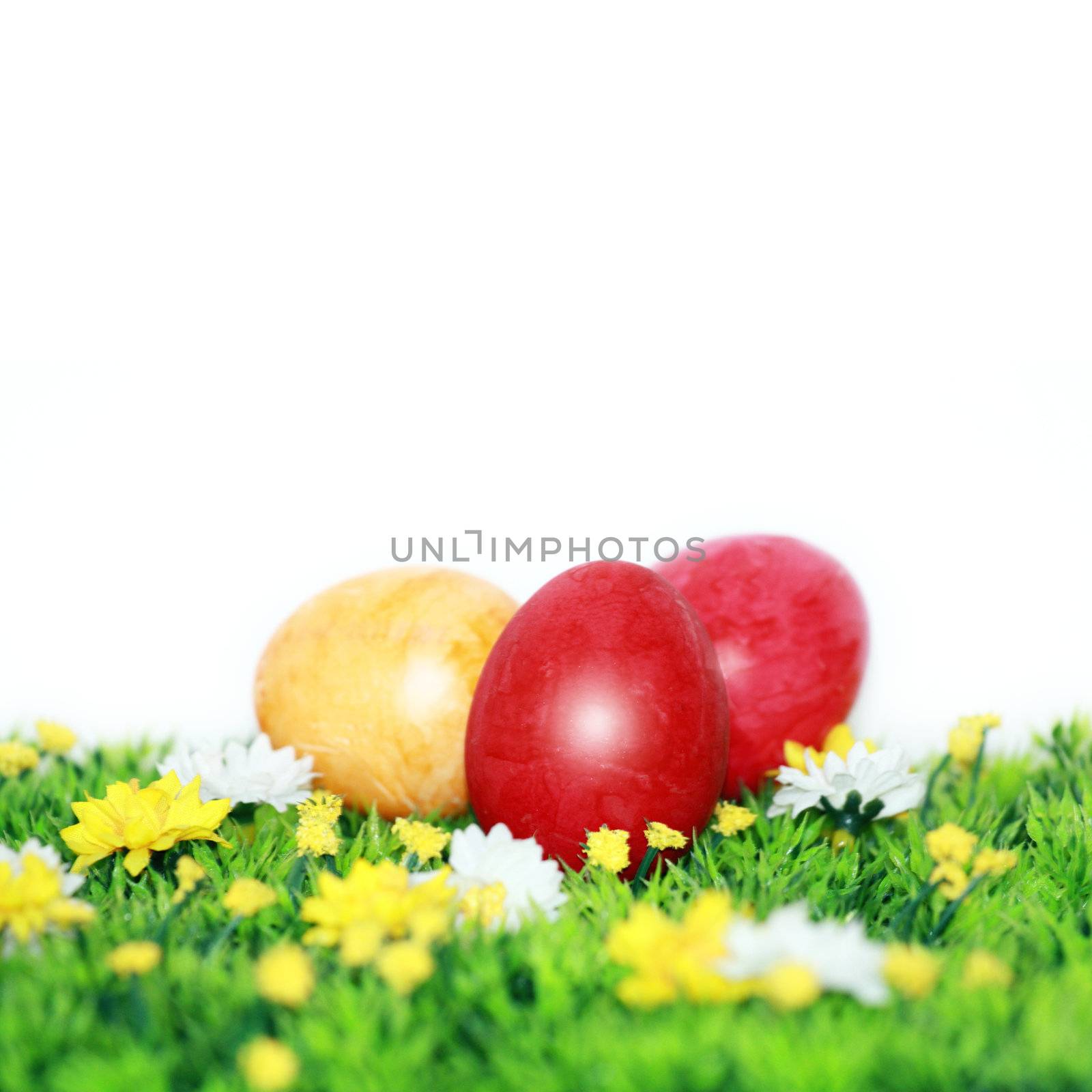 Easter eggs on a flower meadow by photochecker