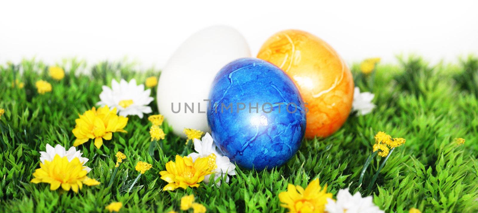 Blue Easter Egg in focus by photochecker
