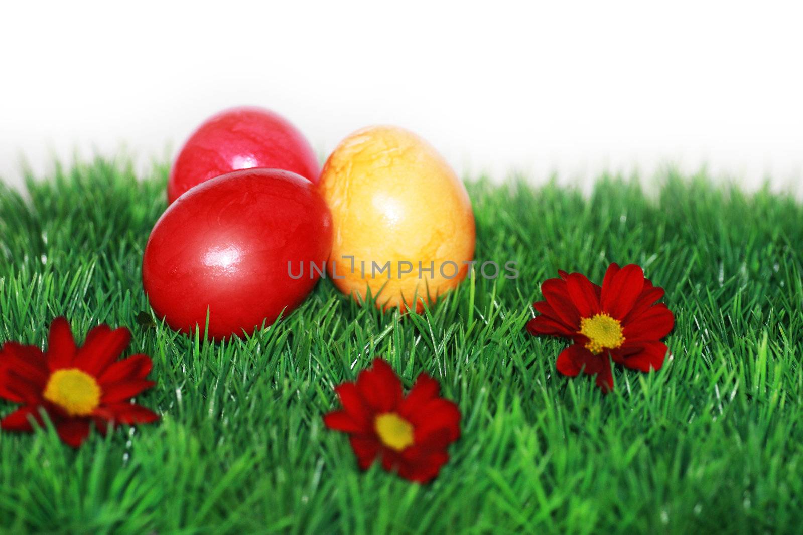 Easter decoration by photochecker