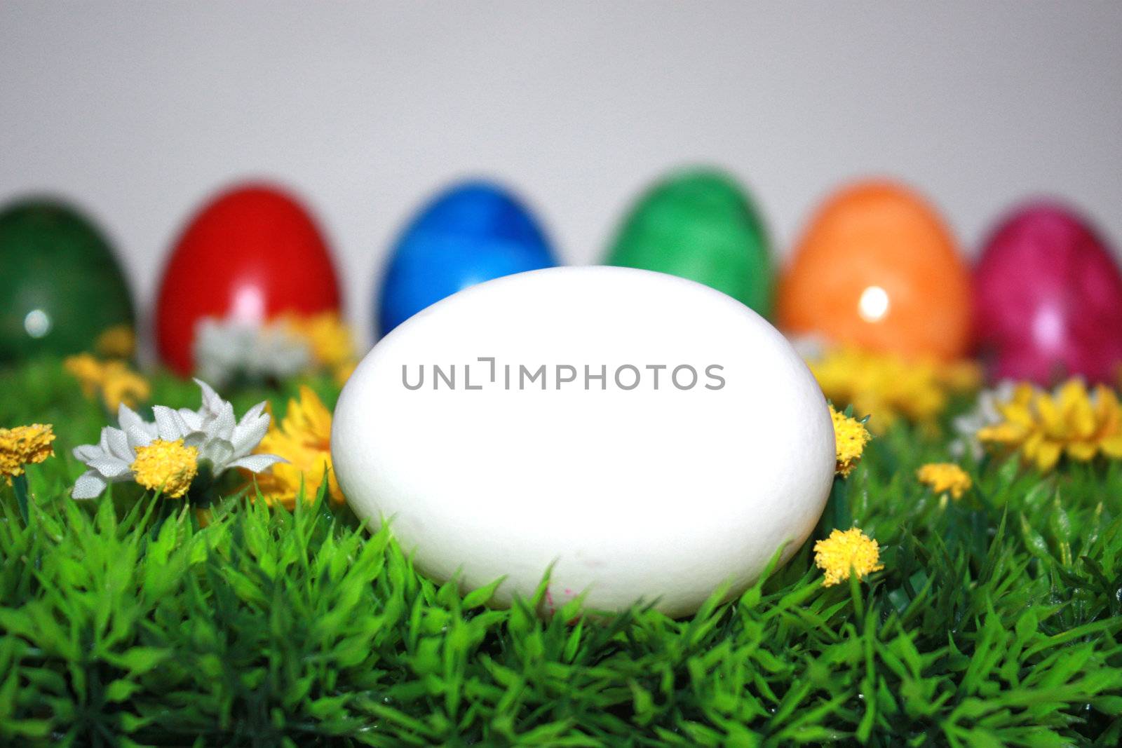 Easter by photochecker