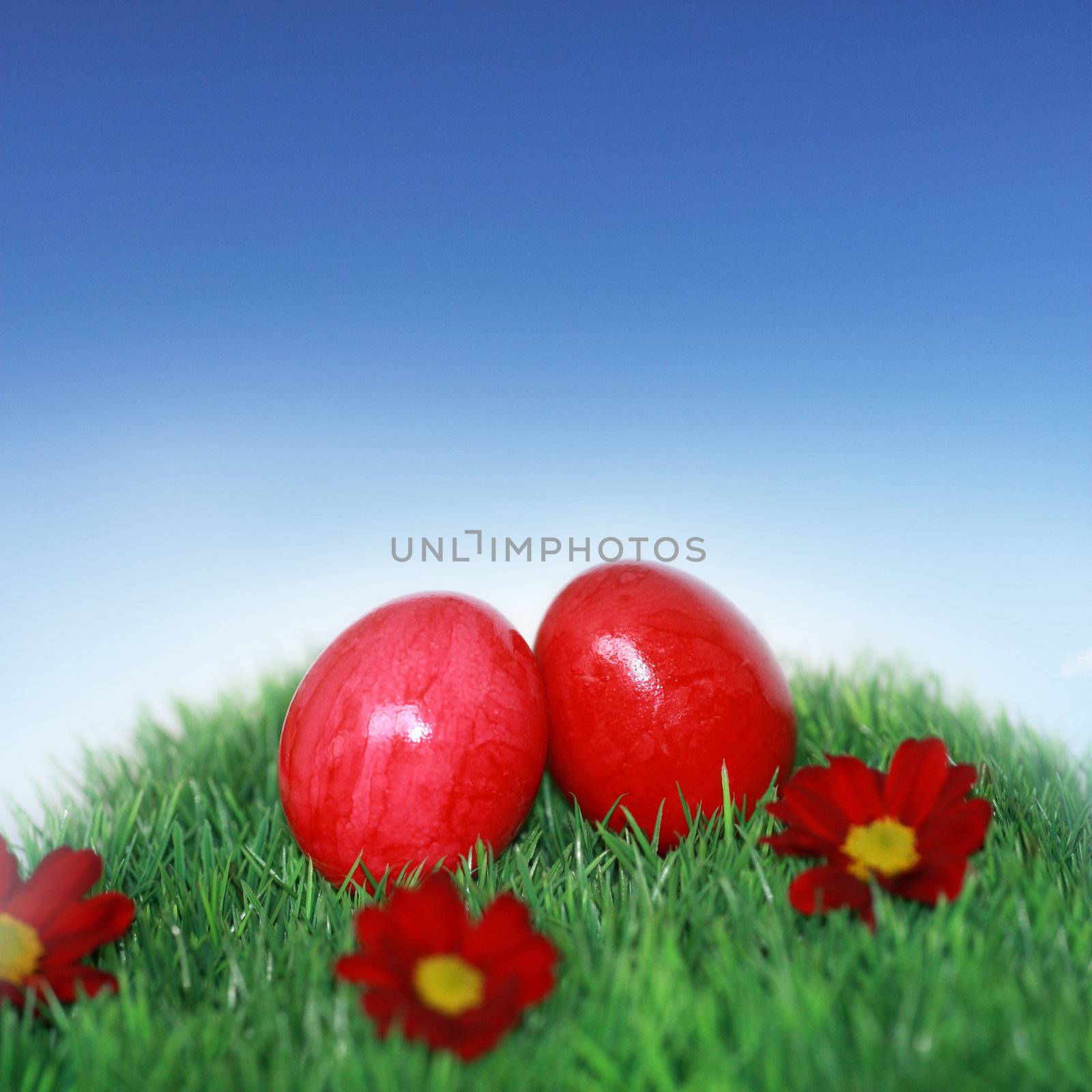 Decoration for Easter by photochecker