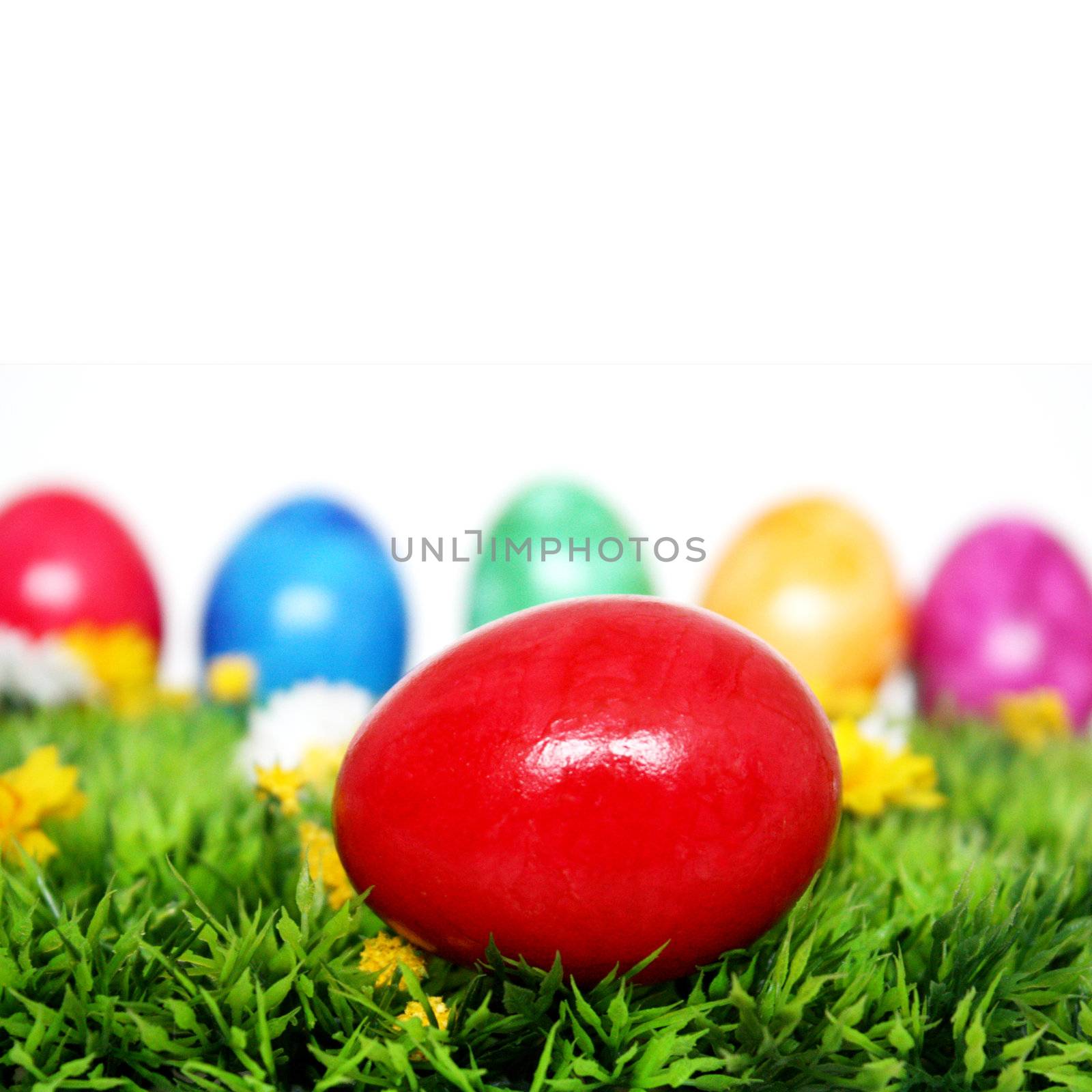 Red Easter egg by photochecker