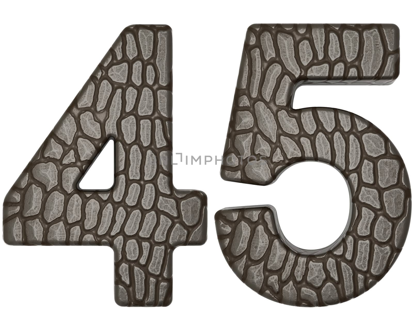 Alligator skin font 4 5 digits isolated on white