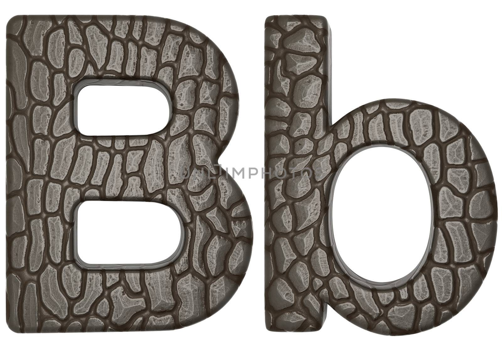 Alligator skin font B lowercase and capital letters isolated on white