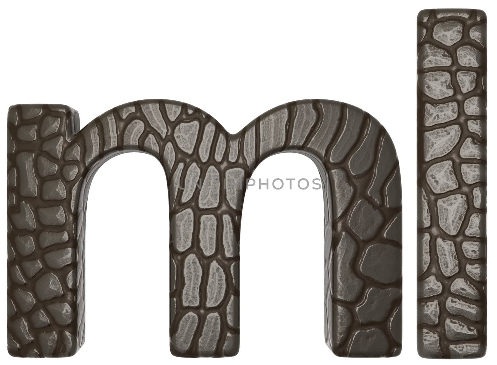 Alligator skin font m and l lowercase letters isolated on white