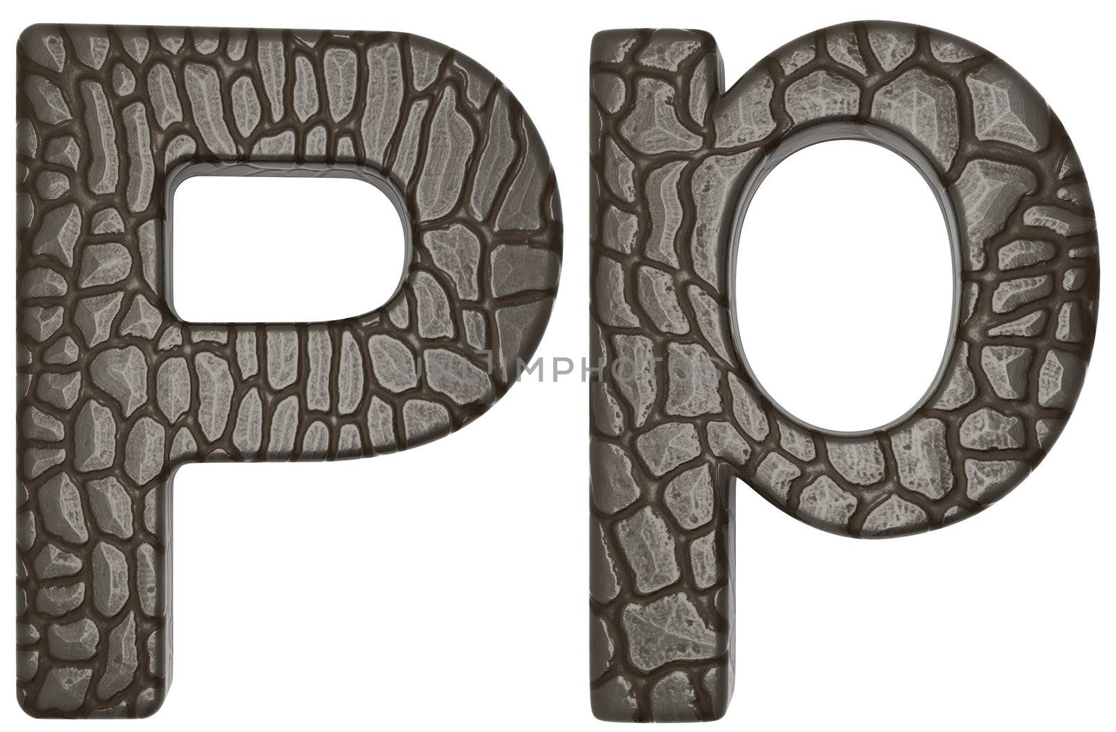 Alligator skin font P lowercase and capital letters isolated on white