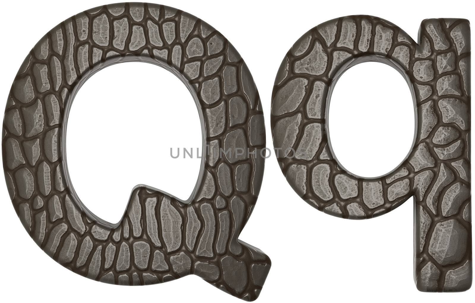 Alligator skin font Q lowercase and capital letters by Arsgera