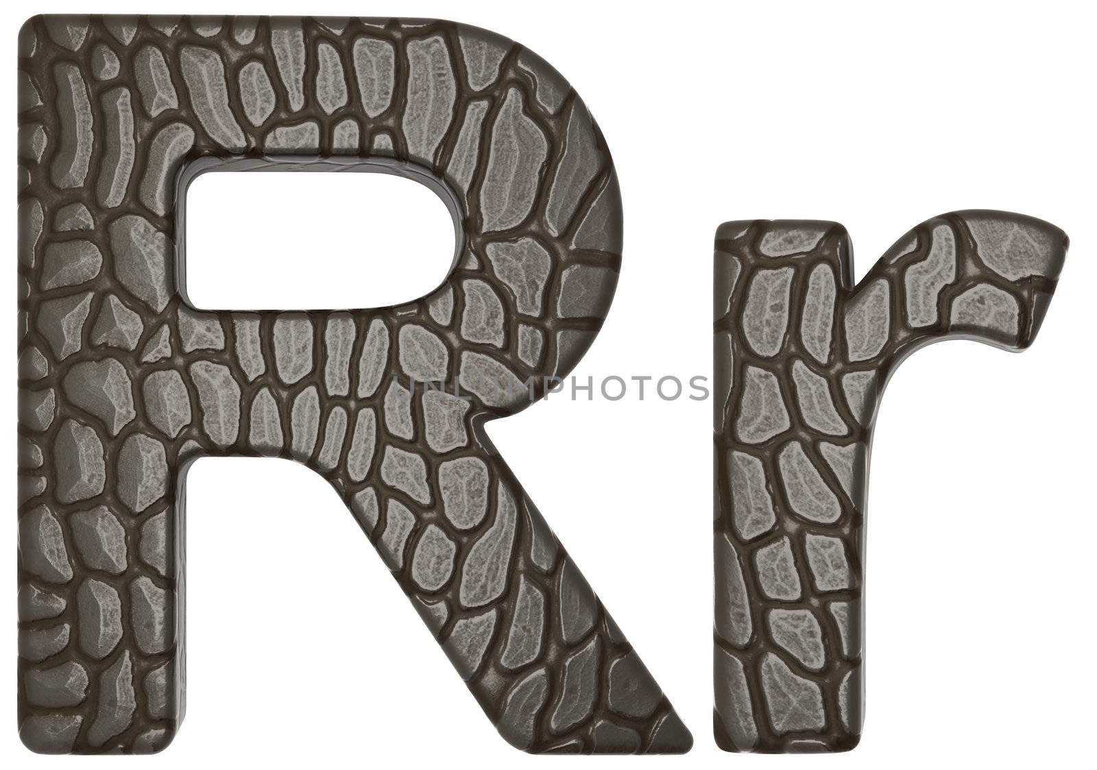 Alligator skin font R lowercase and capital letters isolated on white