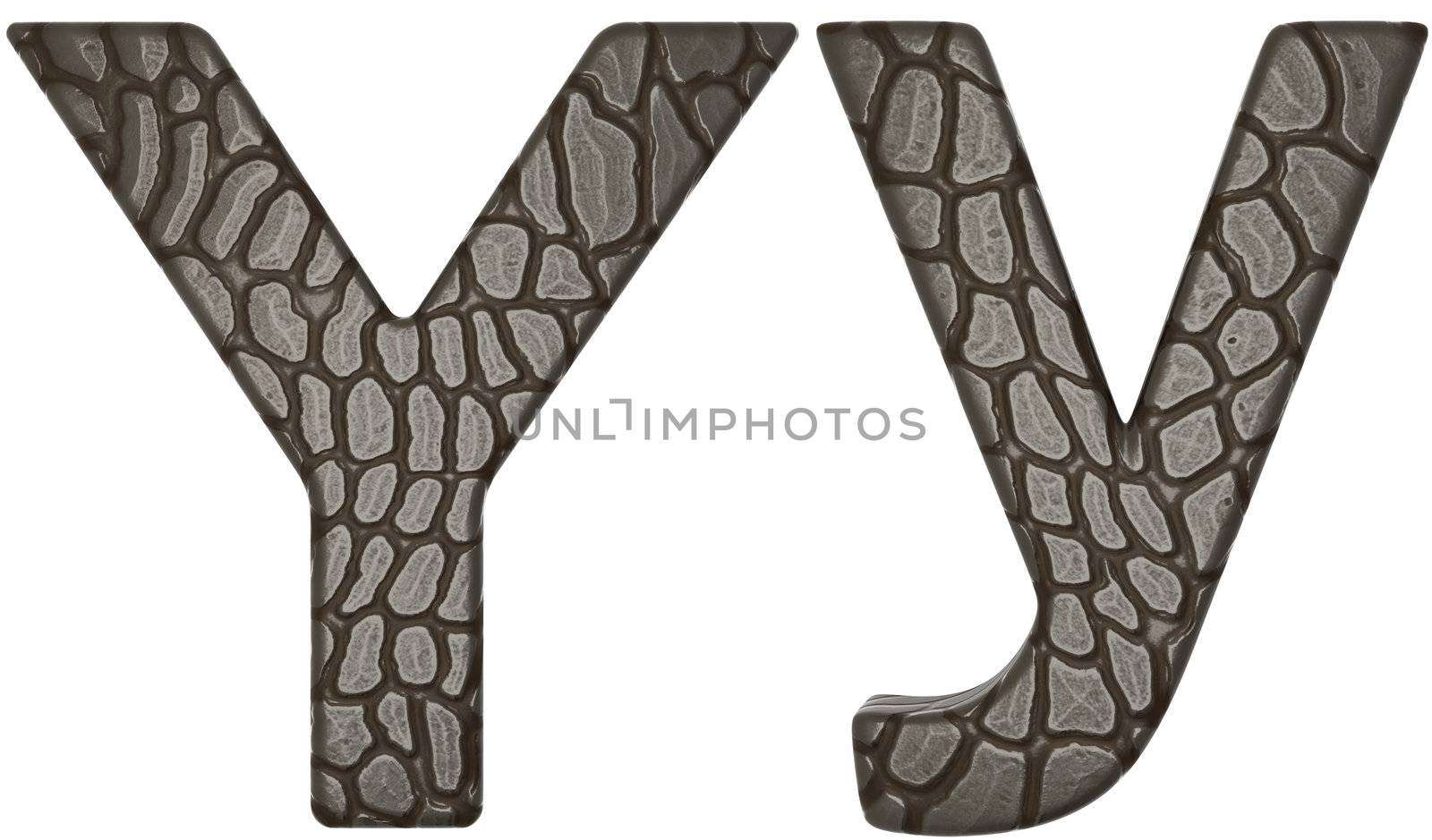 Alligator skin font Y lowercase and capital letters by Arsgera