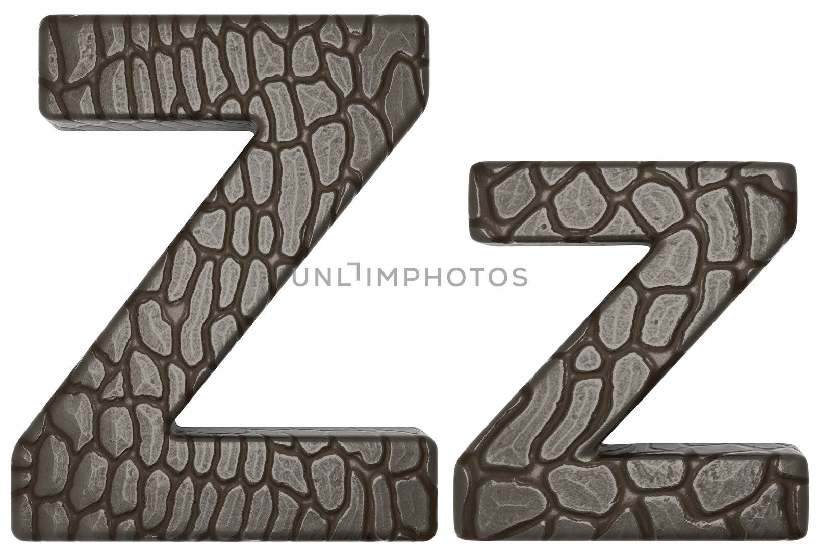 Alligator skin font Z lowercase and capital letters isolated on white