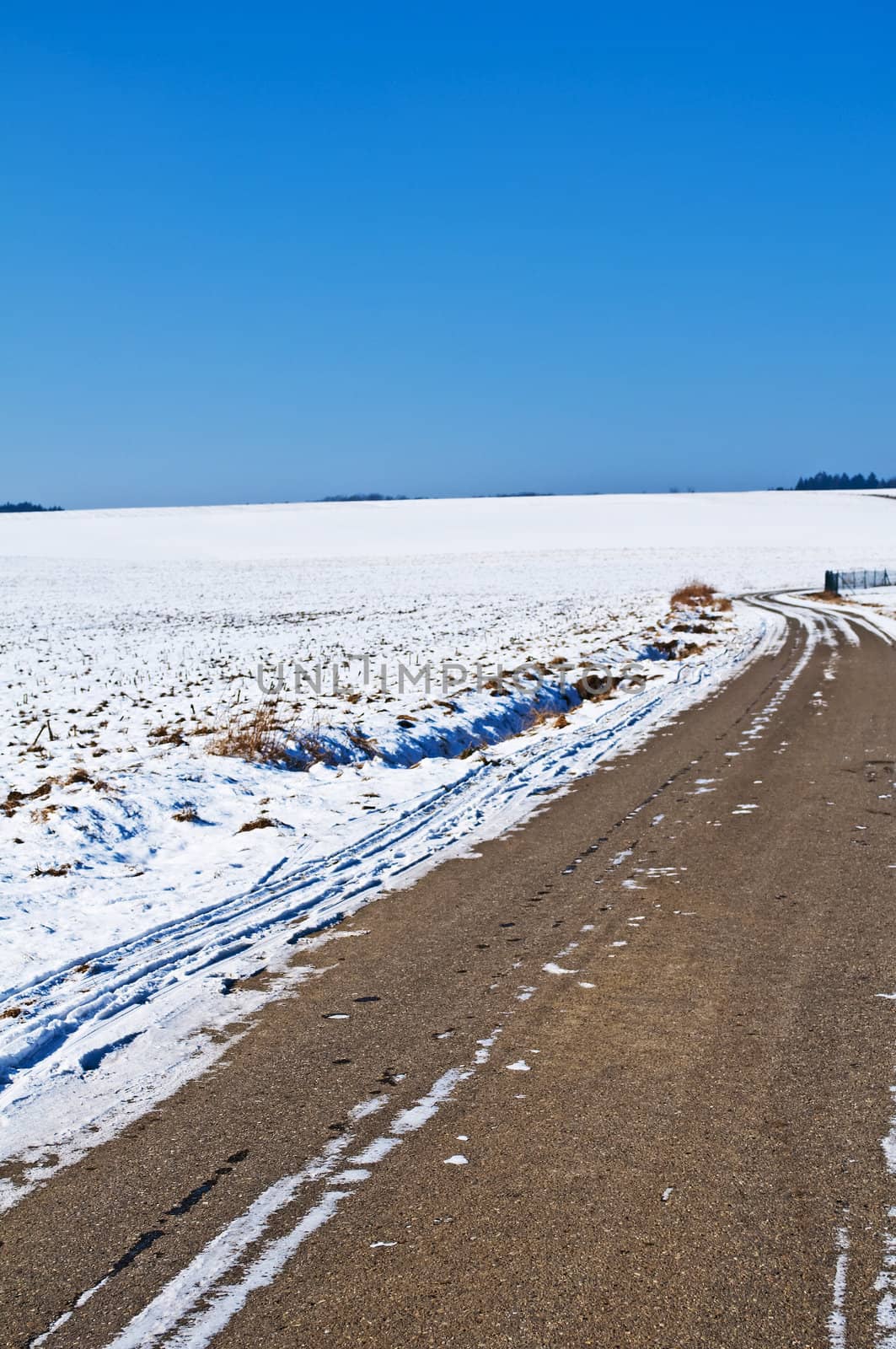 landscape in winter