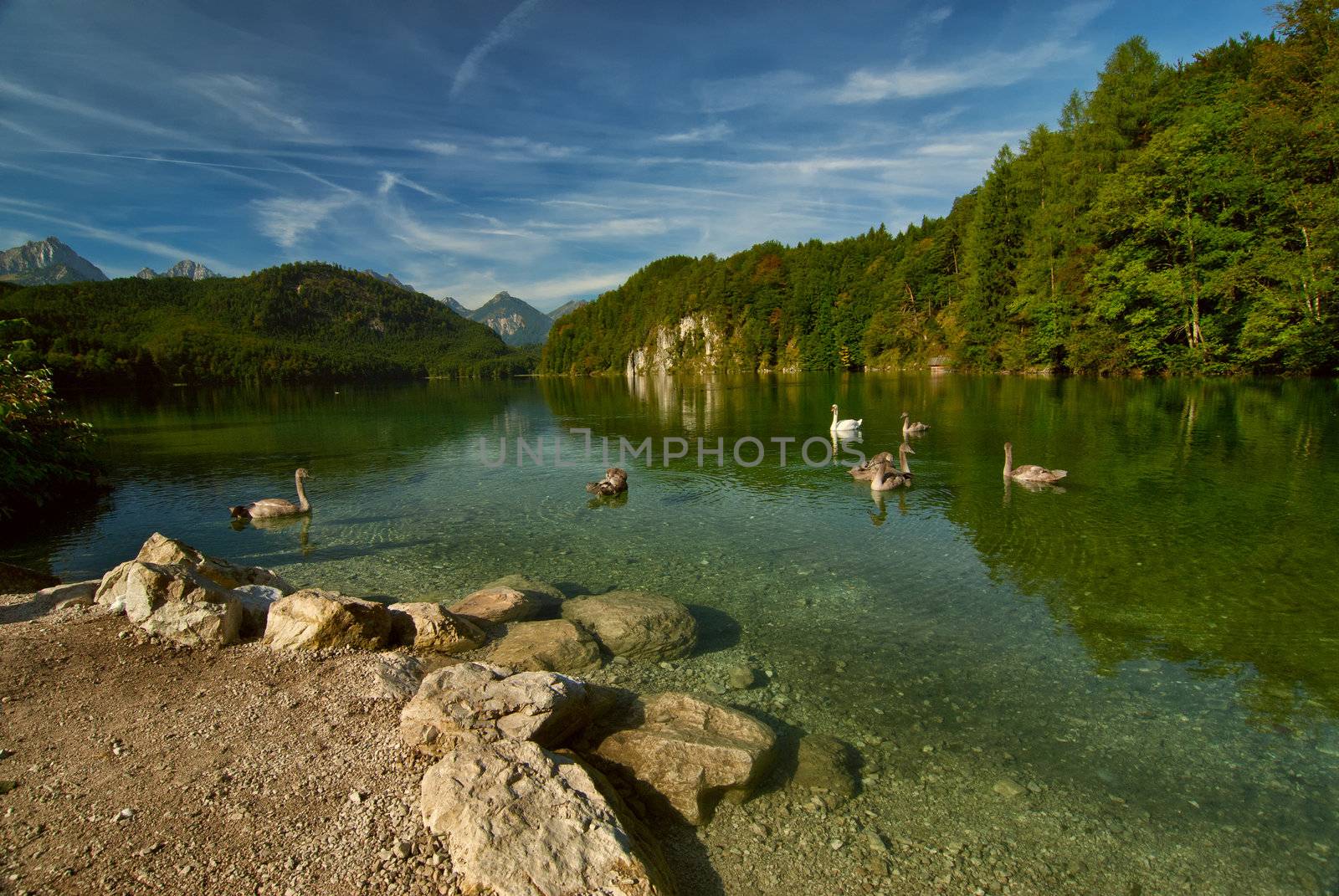 Landscape with swans, lake and mountains by firewings