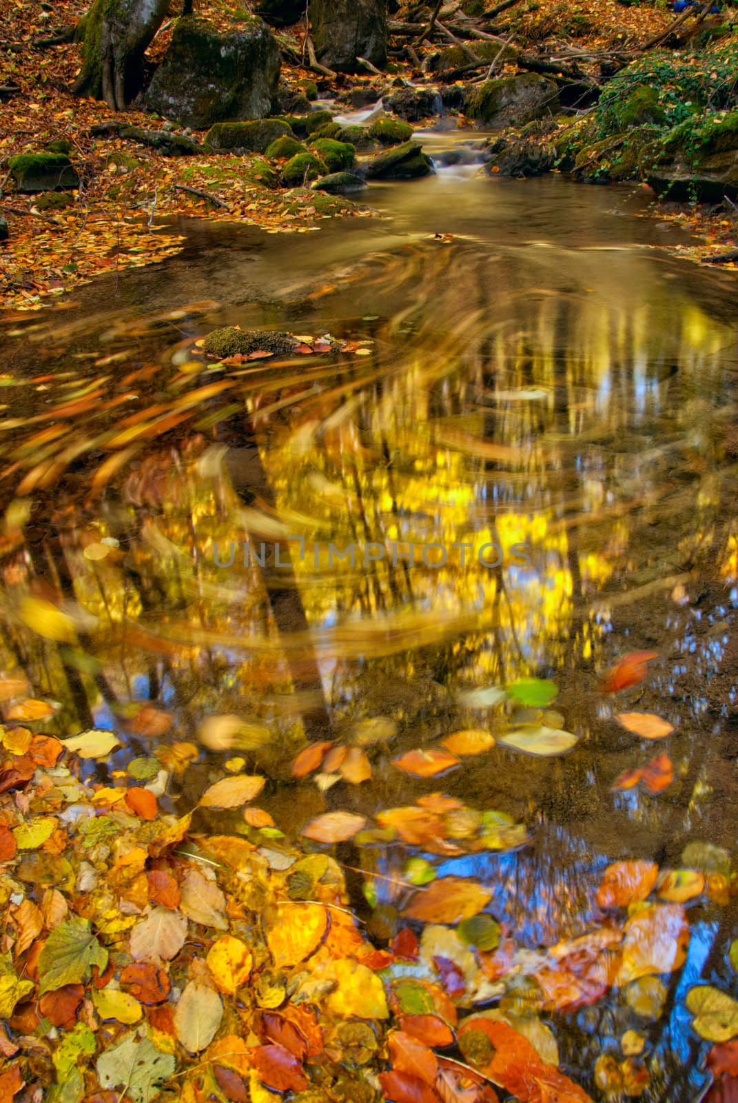 Autumn stream with moving leaves and wood reflection in water